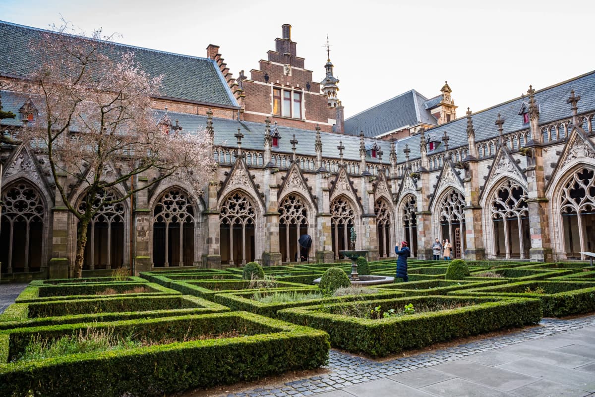 Transforming a University’s Digital Presence